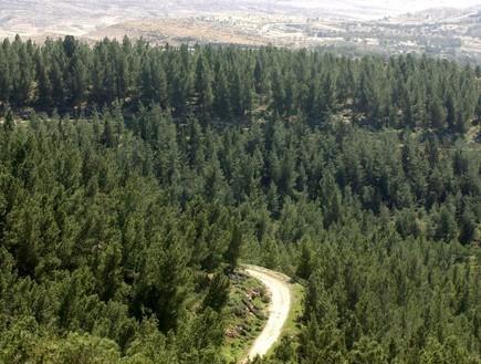 Yagorov Chalet Yavneʼel Eksteriør bilde